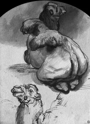 Kamele (Feder und Tinte und Waschung auf Papier)